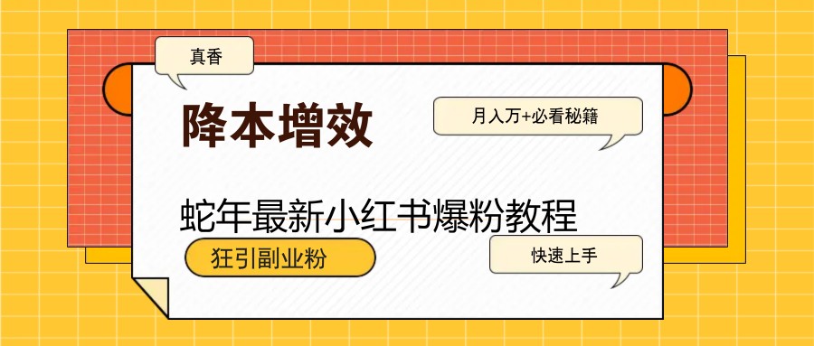 蛇年最新小红书爆粉教程，狂引副业粉，月入万+必看-云网创