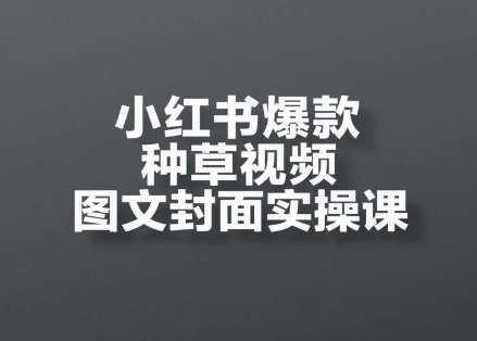 小红书爆款种草视频图文封面实操课，​开店、选品、引流、变现全流程-云网创