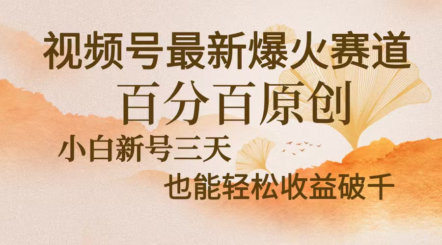 视频号最新爆火赛道，中老年粉深信不疑，百分百原创，新号三天收益轻松…-云网创