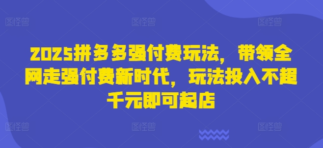 2025拼多多强付费玩法，带领全网走强付费新时代，玩法投入不超千元即可起店-云网创