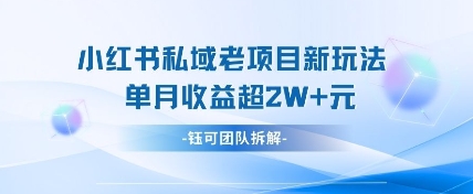 小红书私域项目新玩法，单月变现过W+-云网创