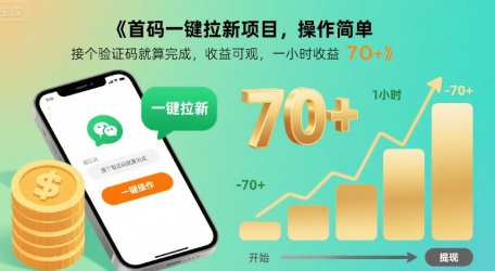 首码一键拉新项目，操作简单，接个验证码就算完成，收益可观， 一小时收益70+【揭秘】-云网创