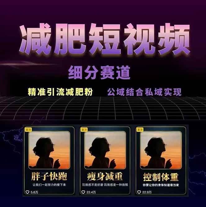 图片[2]-减肥短视频运营实战课：含素材制作、剪映教学，讲精准引流、变现设计与内容模板技巧-云网创