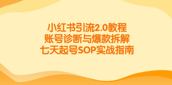 小红书引流2.0教程，账号诊断与爆款拆解，七天起号SOP实战指南-云网创