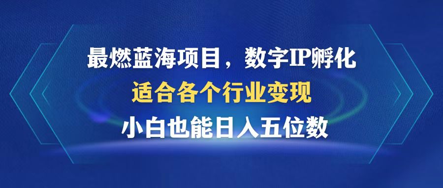 最燃蓝海项目  数字IP孵化  适合各个行业变现  小白也能日入5位数-云网创