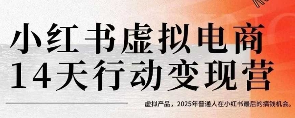 小红书虚拟电商14天变现训练营，虚拟产品，2025年普通人在小红书最后的搞钱机会(更新)-云网创