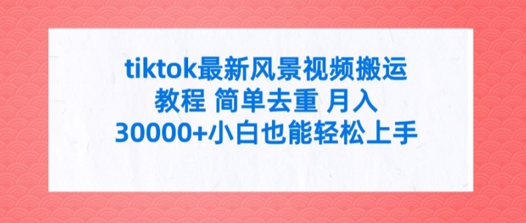 tiktok最新风景视频搬运教程 简单去重 月入3W+小白也能轻松上手【揭秘】-云网创