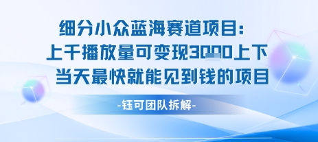 小众蓝海赛道项目：当天变现1k+适合新手操作 +适合长期玩-云网创