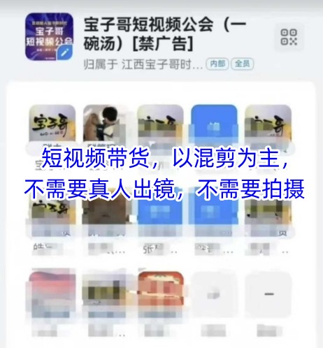 宝子哥头部团队短视频带货，以混剪为主，不需要真人出镜，不需要拍摄【更新】-云网创
