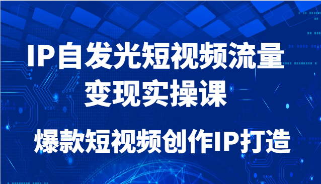 IP自发光短视频流量变现实操课，爆款短视频创作IP打造-云网创