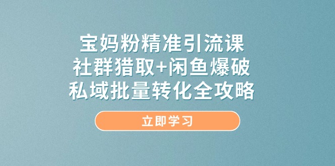 宝妈粉精准引流课，社群猎取+闲鱼爆破，私域批量转化全攻略-云网创