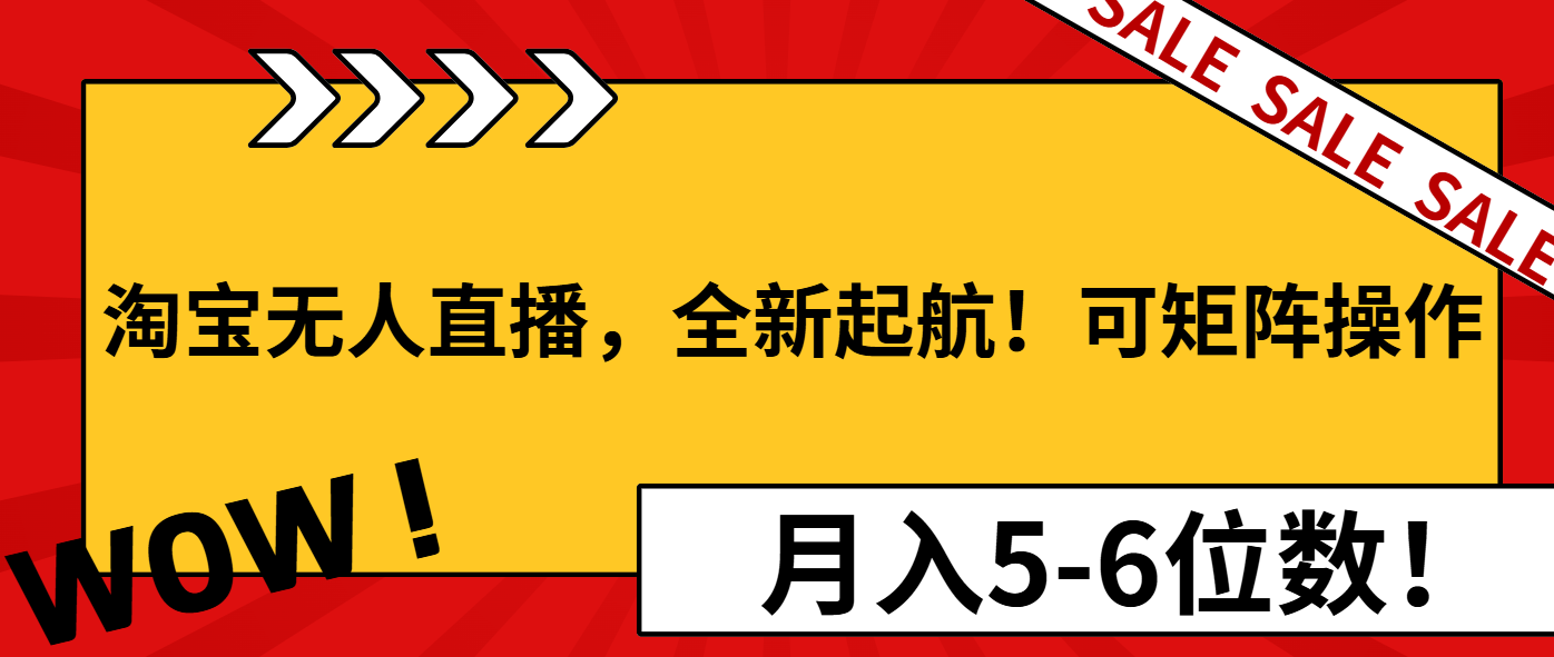 淘宝无人直播，全新起航！可矩阵操作，月入5-6位数！-云网创