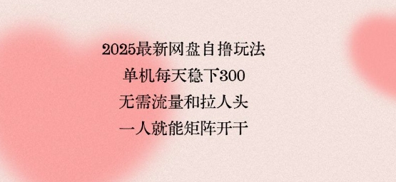 2025最新网盘自撸玩法,单机每天稳下3张,无需流量和拉人头,一个人就可轻松矩阵,全网独一份【揭秘】