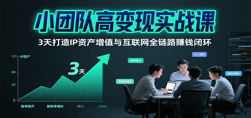 小团队高变现实战课，3天打造IP资产增值与互联网全链路赚钱闭环(第二期)-云网创