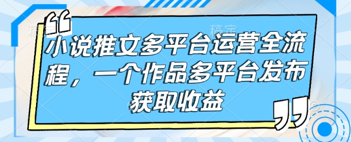 小说推文多平台运营全流程，一个作品多平台发布获取收益-云网创
