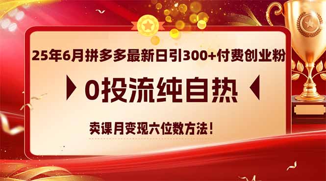 25年6月拼多多最新日引300+付费创业粉，0投流纯自热 卖课月变现六位数方法-云网创