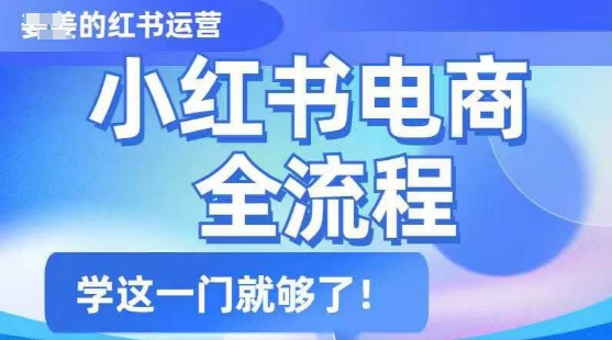 小红书电商全流程，精简易懂，从入门到精通，学这一门就够了-云网创