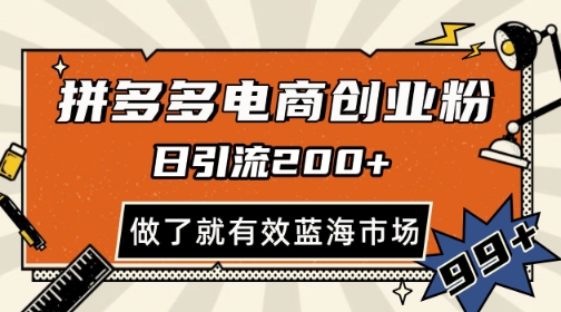 拼多多引流电商创业粉，日引200+，可矩阵放大，做了就有效【揭秘】-云网创