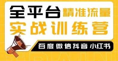 全平台精准流量实战训练营，百度微信抖音小红书SEO引流教程-云网创