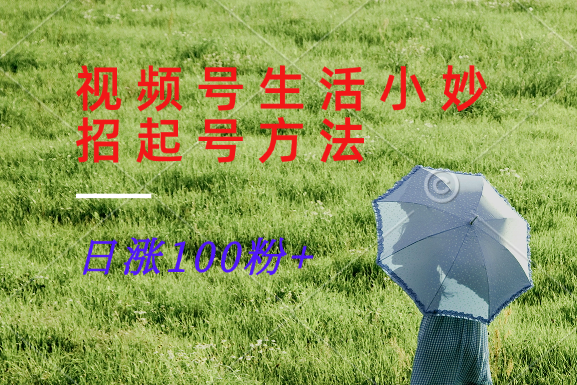 视频号生活小妙招分享赛道， 起号涨粉新方法，日涨100粉-云网创