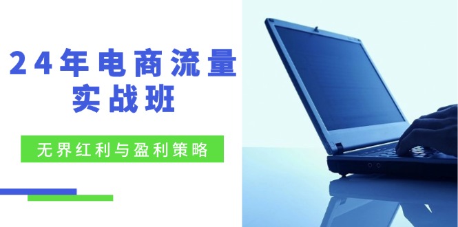 24年电商流量实战班：无界 红利与盈利策略，终极提升/关键词优化/精准...-云网创